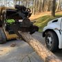 Photo of Discount Express Tree Service