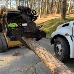 Discount Express Tree Service - Our bobcat allows us to haul off trees rapidly and securely