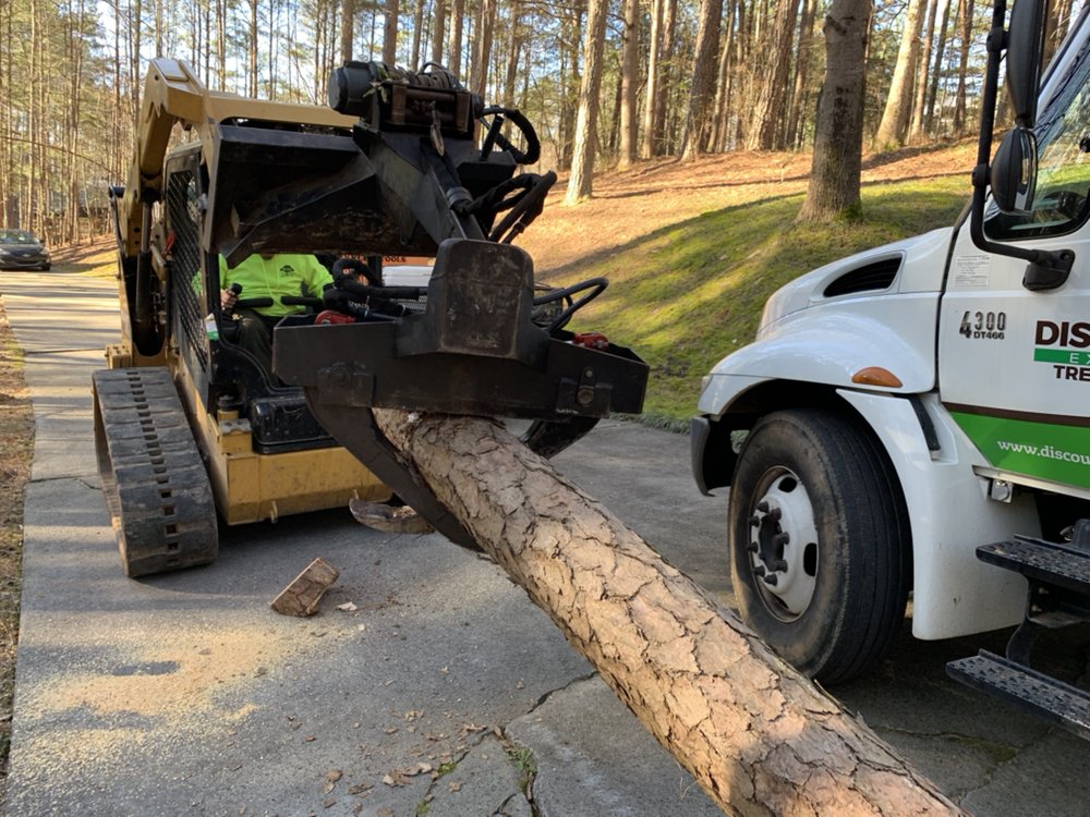 Discount Express Tree Service - tree service in Woodstock, GA