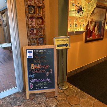 El Gato Negro - Lakeview - Entrance - Mexican Near Me - New Orleans, Louisiana El Gato Negro - Lakeview - Entrance - Mexican Near Me - New Orleans, Louisiana