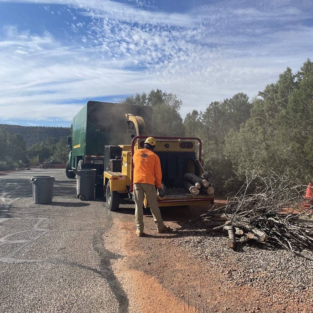 Arborist Standards Tree Care - Tree Services Near Me - Sedona, Arizona Arborist Standards Tree Care - Tree Services Near Me - Sedona, Arizona