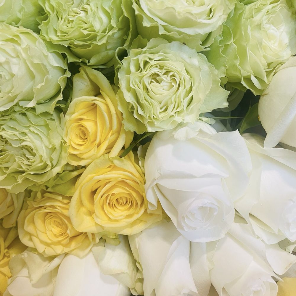Bella Rosa - Beautiful and fresh - Florists Near Me - Honolulu, Hawaii