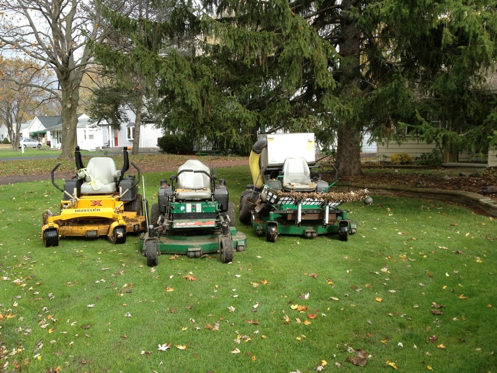 Murphy's Lawn & Landscaping - tree service in Rochester, NY