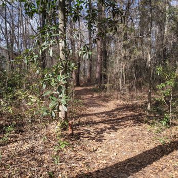 Colleton State Park Office - Colleton State Park - RV Parks Near Me - Walterboro, South Carolina