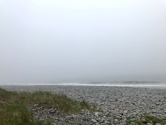 Lawrencetown Beach Provincial Park by null