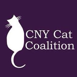 CNY Cat Coalition - Logo