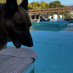 Nelson Pool & Spa Service - Kod!