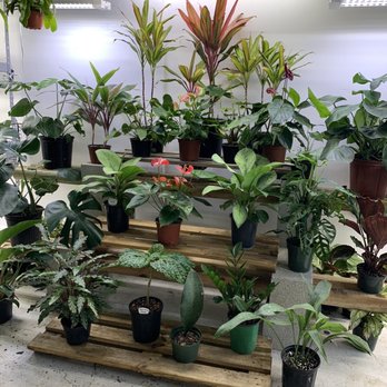 Next World Exotics - Reptile Shops Near Me - Boynton Beach, Florida