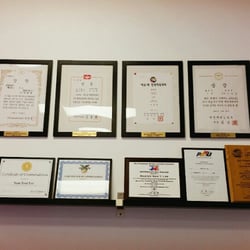 Top Mixed Martial Arts