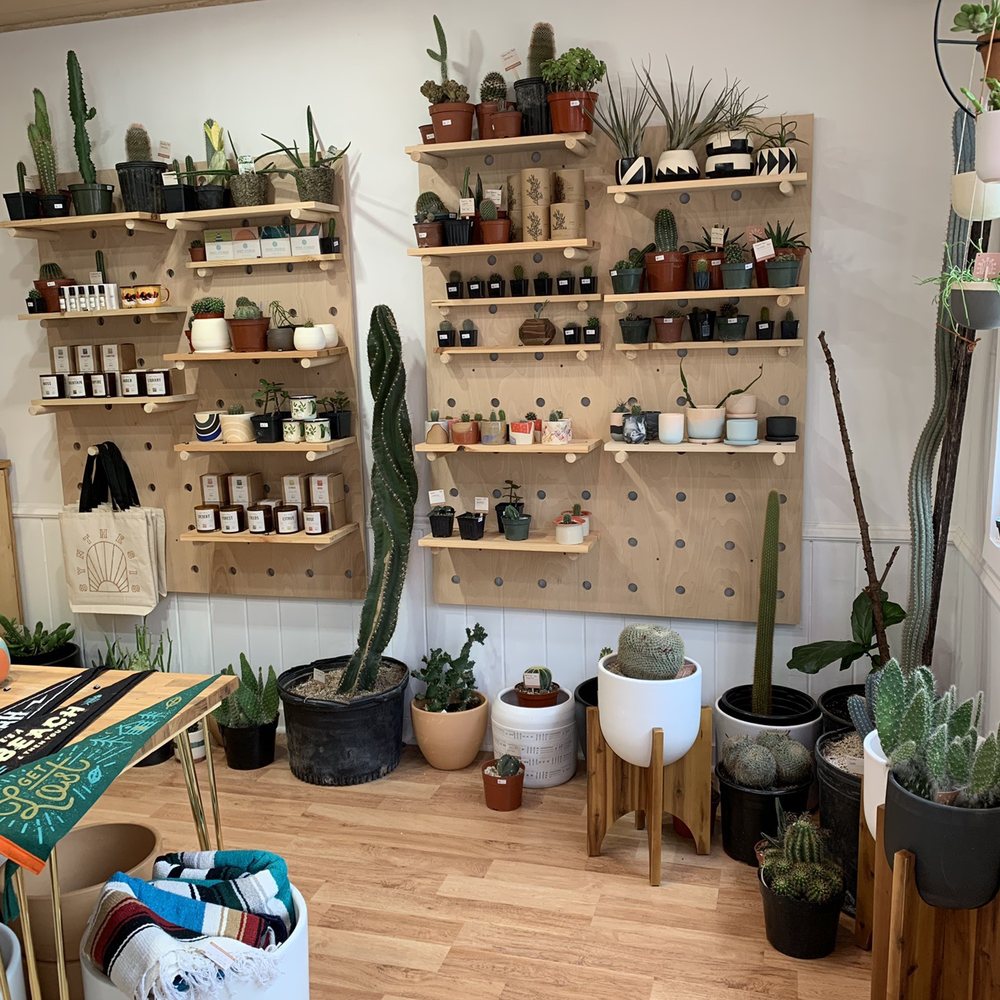 Synthesis - Beautifully and cleanly designed. Like walking into someone's private greenhouse/workshop - Home & Garden Near Me - Pittsburgh, Pennsylvania Synthesis - Beautifully and cleanly designed. Like walking into someone's private greenhouse/workshop - Home & Garden Near Me - Pittsburgh, Pennsylvania