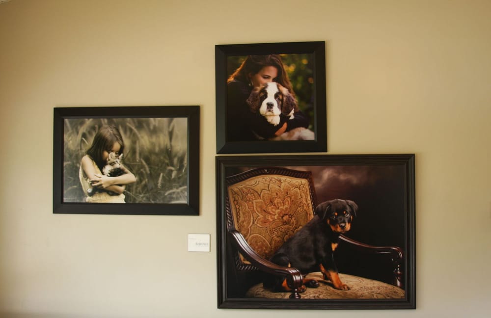 SPENCER VETERINARY HOSPITAL Updated October 2024 407 Main St