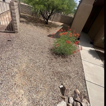 Eco Lands - Landscaping Near Me