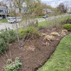 Davis And Sons - Mulch