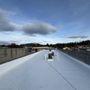Photo of Guardian Exteriors