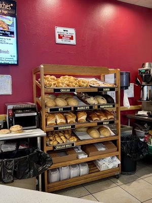 Life's A Bagel by null