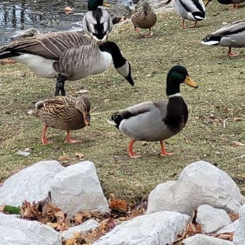 Mill Pond Park - Parks Near Me - Menomonee Falls, Wisconsin