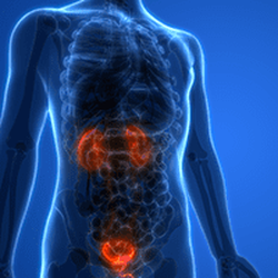 San Jose Urology Partners
