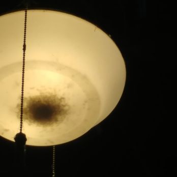 Angela's Kitchen - PS: The light fixtures need to be cleaned out ASAP! Disgusting to be so filthy over tables and food. - New American Near Me - Surprise, Arizona