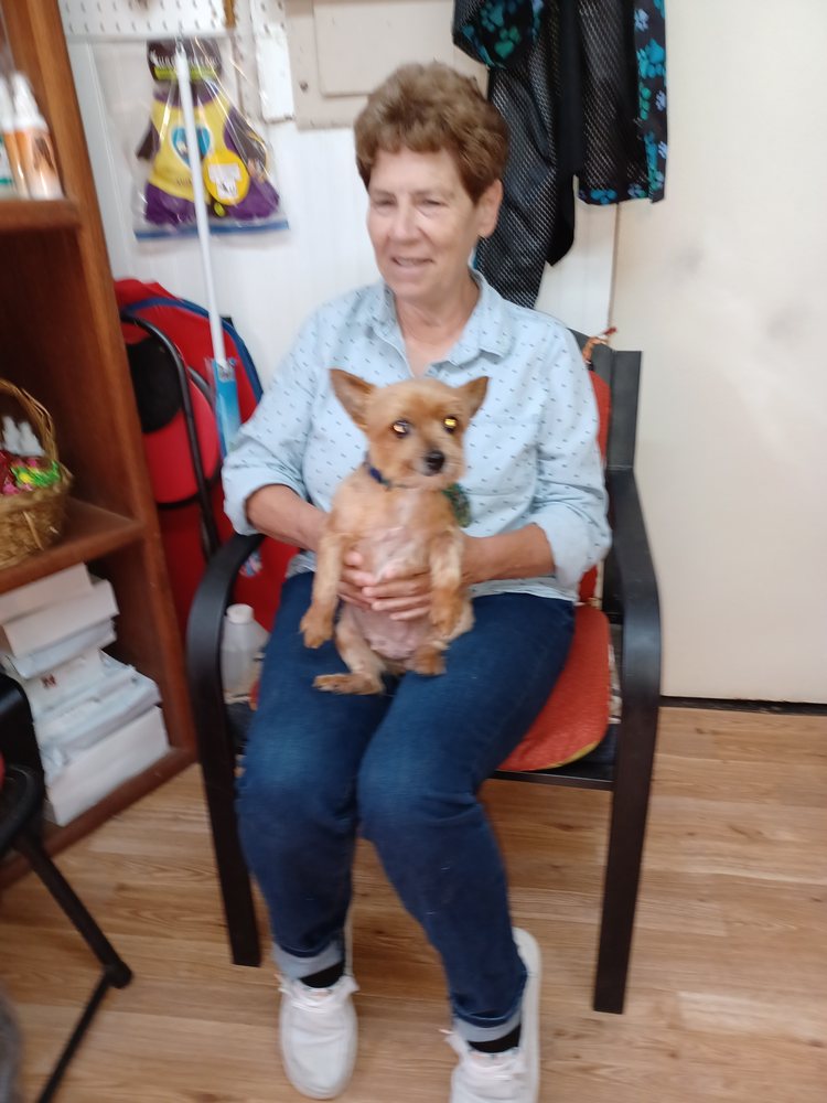 BUBBLES & BONES GROOMING Updated September 2024 29 Photos 140 Sweet Ln, Richlands, North