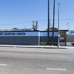 PET CARE VETERINARY CENTER - CLOSED - 107 Photos & 289 Reviews