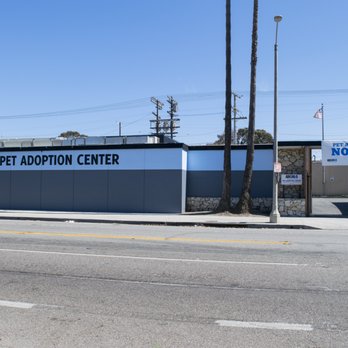 spcaLA Pet Adoption Center - spcaLA Pet Adoption Center - Pet Adoption Near Me - Los Angeles, California spcaLA Pet Adoption Center - spcaLA Pet Adoption Center - Pet Adoption Near Me - Los Angeles, California