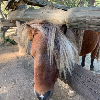 Indian Hills Camp - Summer Camps Near Me - Jamul, California Indian Hills Camp - Summer Camps Near Me - Jamul, California
