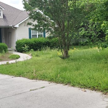 Singleton Lawn Care - Before - Lawn Services Near Me Singleton Lawn Care - Before - Lawn Services Near Me