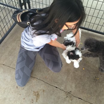Tully's Kennels - Pet Stores Near Me - Omaha, Nebraska