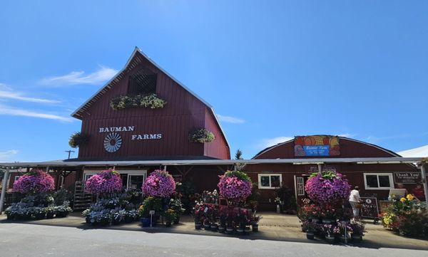 Bauman's Farm and Garden by null