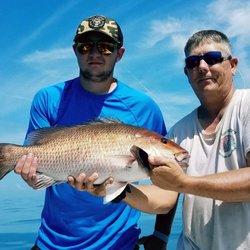 Captain Daddy's Fishing Charter - Snapper time