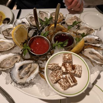 Novikov - Dozen Oysters - Mediterranean Near Me - Beverly Hills, California Novikov - Dozen Oysters - Mediterranean Near Me - Beverly Hills, California