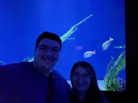 SEA LIFE Orlando Aquarium by null