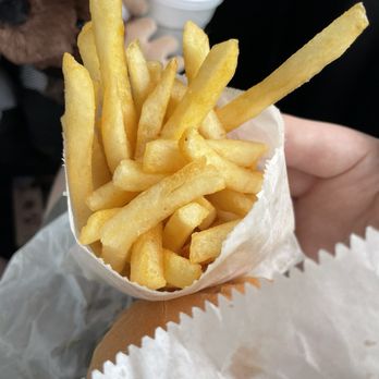 Val's Rapid Service - Val's small fry - A serving of French fries in a paper cone is held by a person, with a background showing a hand holding a drink and a dog. - American Near Me - St. Cloud, Minnesota