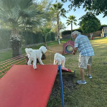 Sundance RV Resort - Dog park - RV Parks Near Me - Yuma, Arizona Sundance RV Resort - Dog park - RV Parks Near Me - Yuma, Arizona