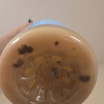 The Fresh Market - Mold in the bottom of this drink. - Grocery Near Me - Raleigh, North Carolina The Fresh Market - Mold in the bottom of this drink. - Grocery Near Me - Raleigh, North Carolina