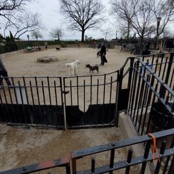 Carl Schurz Big Dog Run