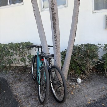 Easy bikes - Bike Rentals Near Me - Fort Lauderdale, Florida Easy bikes - Bike Rentals Near Me - Fort Lauderdale, Florida