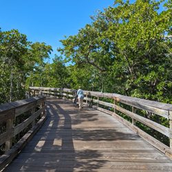 Clam Pass Beach Park