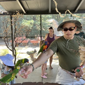 Turtle Bay Exploration Park - Lorikeets feeding. - Museums Near Me - Redding, California