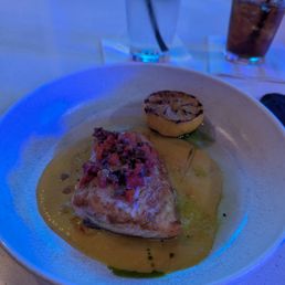 Salmon