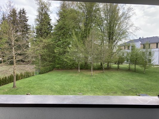 Steigenberger Hotel Der Sonnenhof by null