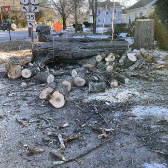 Top Notch Property Services - Before clean up on a big sugar maple take down! - Tree Services Near Me Top Notch Property Services - Before clean up on a big sugar maple take down! - Tree Services Near Me