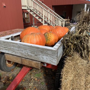 Old Bishop Farm - a wagon full of pumpkins - Ice Cream & Frozen Yogurt Near Me - Cheshire, Connecticut