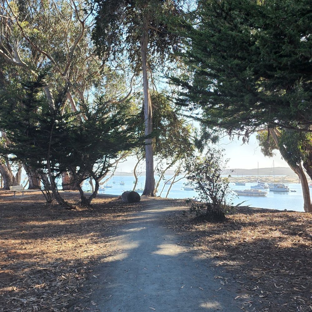 Franklin Riley Park - Parks Near Me - Morro Bay, California Franklin Riley Park - Parks Near Me - Morro Bay, California