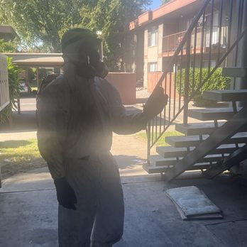 Wildlife Out - The Technician is releasing the pigeons. - Wildlife Control Near Me Wildlife Out - The Technician is releasing the pigeons. - Wildlife Control Near Me