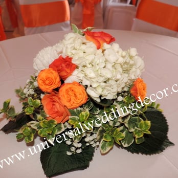 Universal Wedding Decor - Wedding Planning Near Me - Kitchener, Ontario Universal Wedding Decor - Wedding Planning Near Me - Kitchener, Ontario