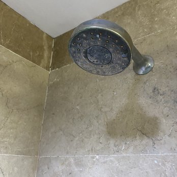 Crown Regency Hotel And Resorts - Water grud on the showerhead - Hotels Near Me - Cebu City, CEB