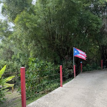 Rainforest Zipline Park - Tours Near Me - Rio Grande, Puerto Rico Rainforest Zipline Park - Tours Near Me - Rio Grande, Puerto Rico