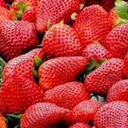 Kissel's Spiced Jam - Made with fresh strawberries