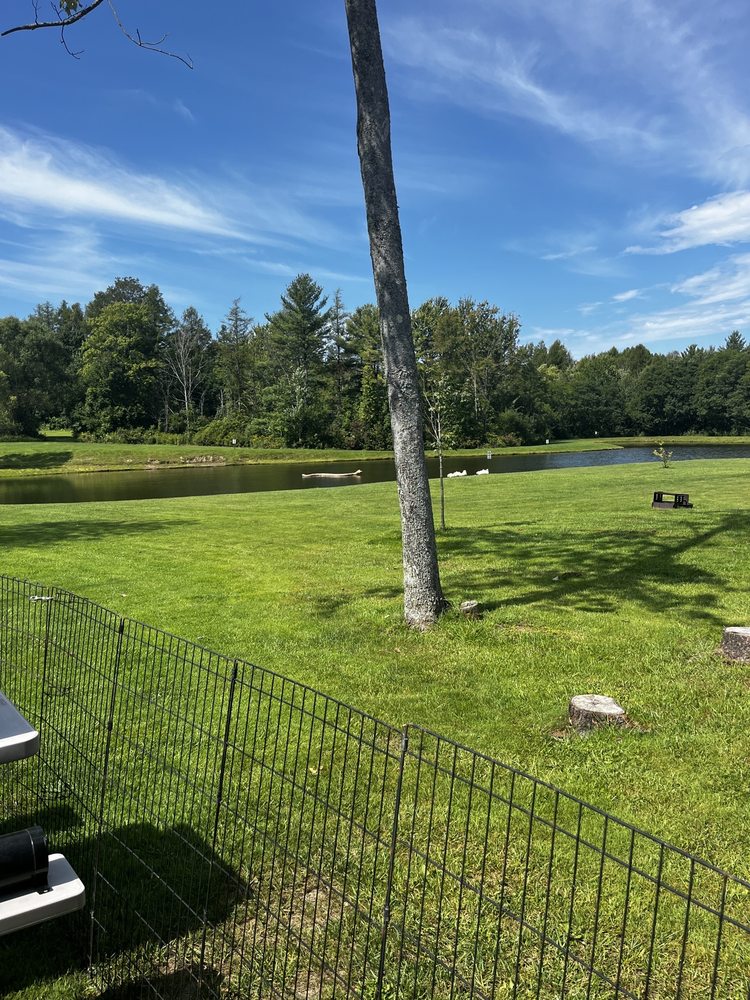 SPARROW POND FAMILY CAMPGROUND Updated June 2024 11103 Peach St